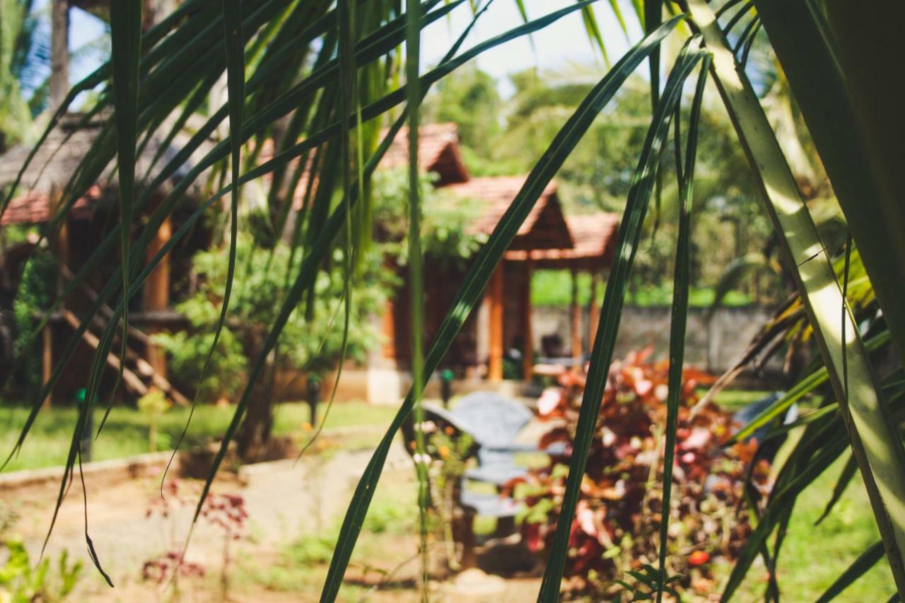 Hotel Clay House Udawalawe Exteriér fotografie